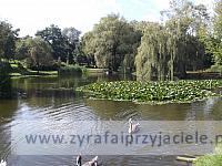 DSCF8294
