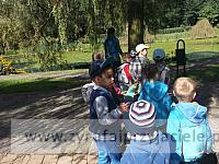 DSCF8336