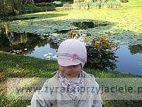 DSCF8339