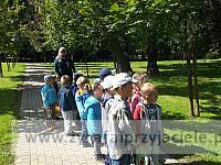 DSCF8366