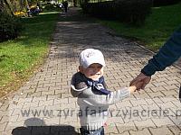 DSCF8369