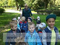 DSCF8374