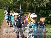 DSCF8378