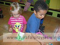 IMG 7429