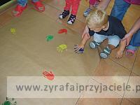 IMG 7445