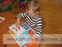 IMG 7462