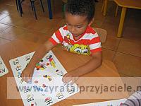 IMG 7463