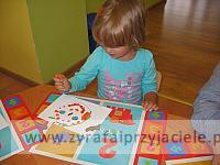 IMG 7477