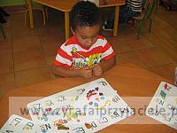 IMG 7481