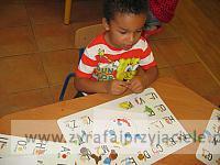IMG 7493
