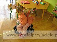 IMG 7554