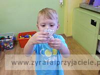 DSCF5193