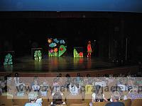 IMG 6982