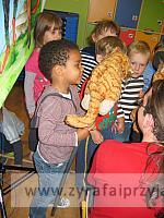 IMG 7686