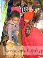 IMG 7687