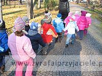 IMG 8579