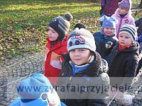 IMG 8581