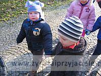 IMG 8585