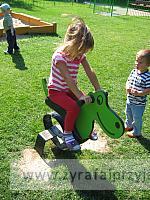 IMG 7343