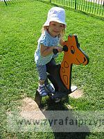IMG 7345