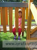 IMG 7369