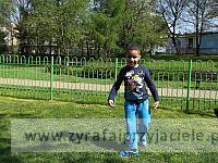 DSCF2811