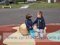 DSCF2873