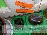 DSCF2592