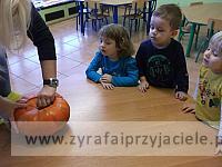 DSCF5664