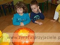 DSCF5668