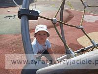 DSCF8816