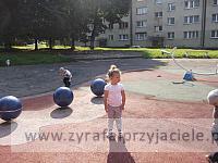 DSCF8819