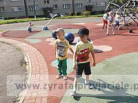 DSCF8854