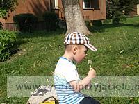 DSCF8859