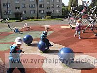 DSCF8952