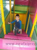 DSCF6849