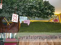 DSCF6851