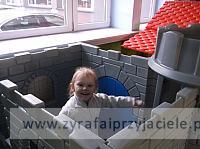 DSCF6853