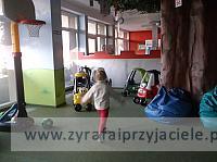 DSCF6858