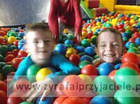 DSCF6887