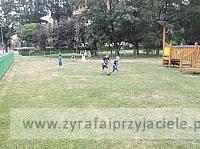DSCF5491