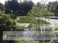 DSCF5495