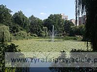 DSCF5499