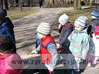 DSCF2541