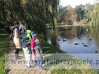 DSCF1909