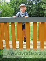 IMG 6745