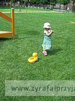 IMG 6746