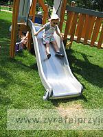 IMG 6787