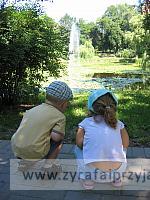 IMG 6798