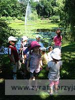 IMG 6807